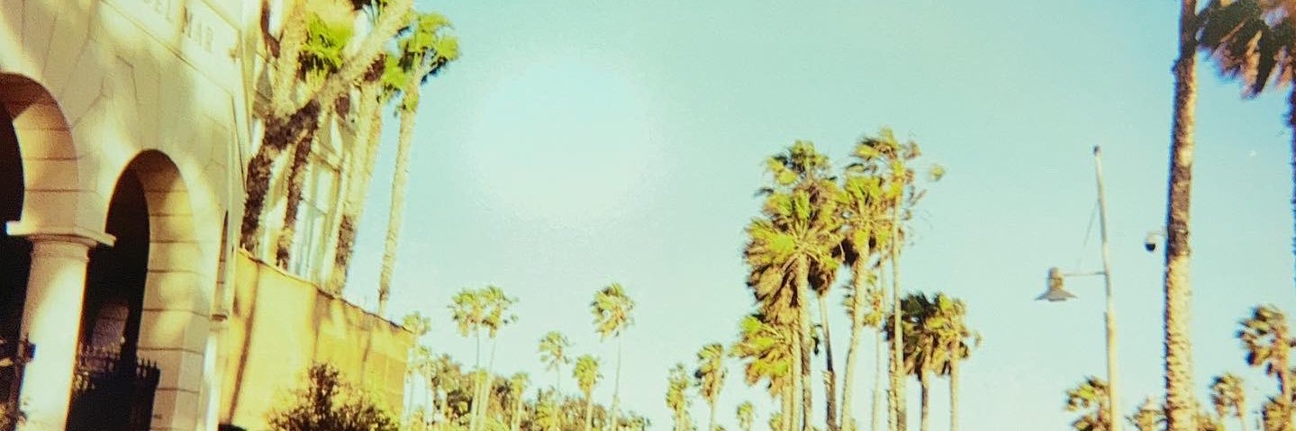 sonalihas's profile banner image