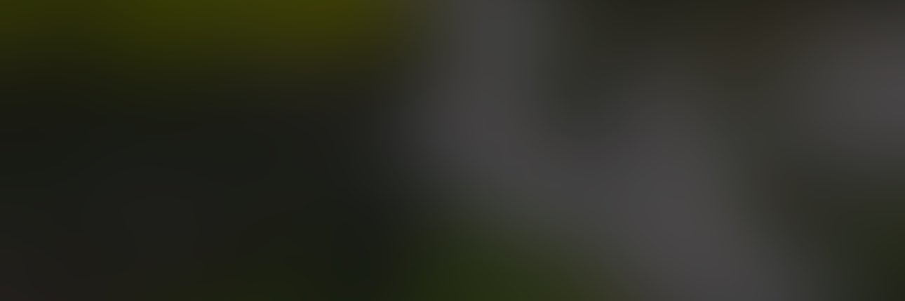 ylahsart's profile banner image
