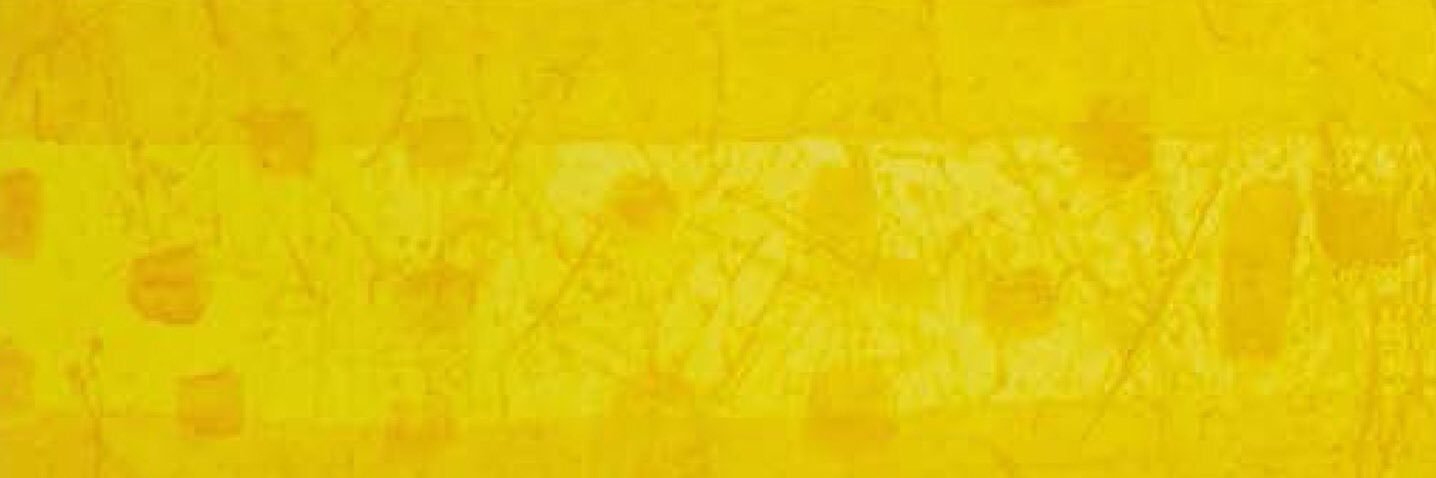 mi24gdl's profile banner image