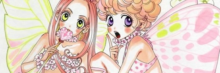 zesty banner