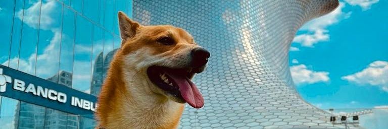 Fiazgo's profile banner image