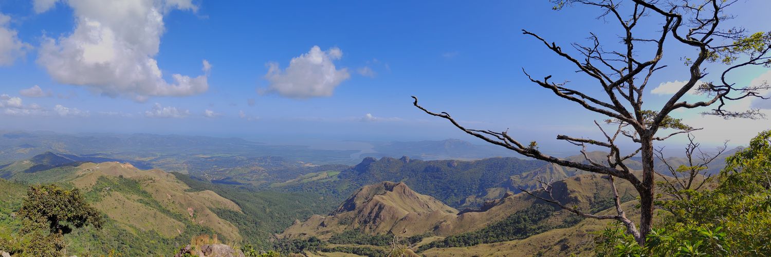 👽👽👽👽 banner