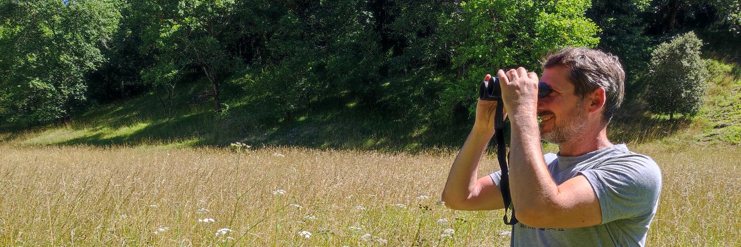 Matthieu ORPHELIN banner