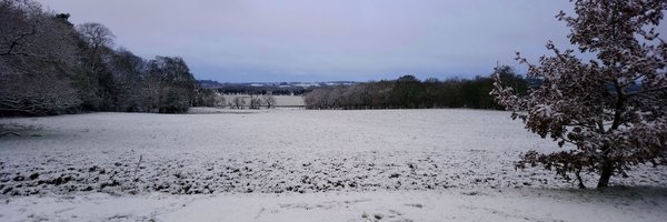 CSHChem Profile Banner