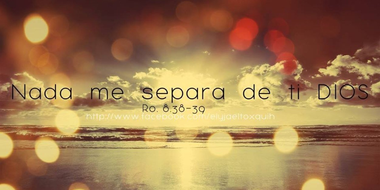 aleerivas25's profile banner image