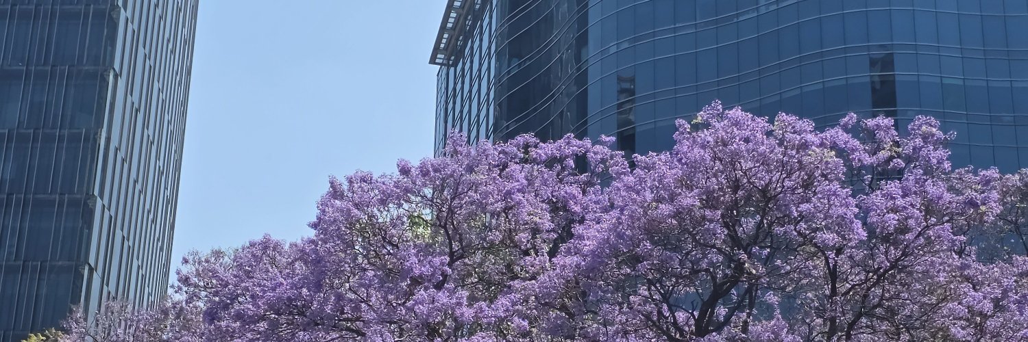 itscareylara's profile banner image