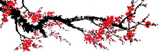 juuunixd's profile banner image