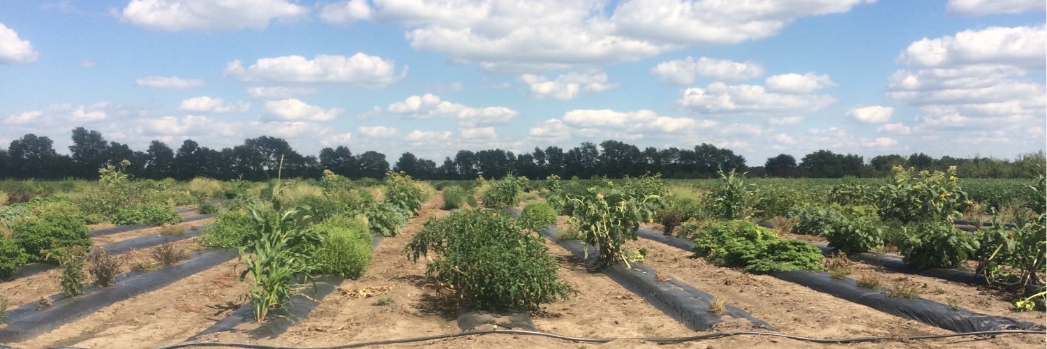 Kathryn Ingerslew banner