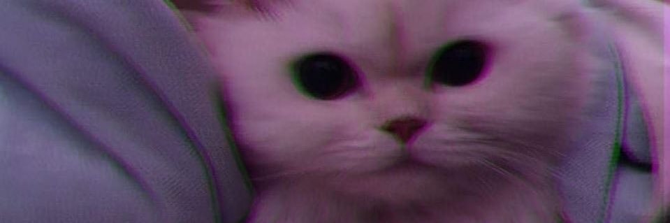 VCuicatl's profile banner image