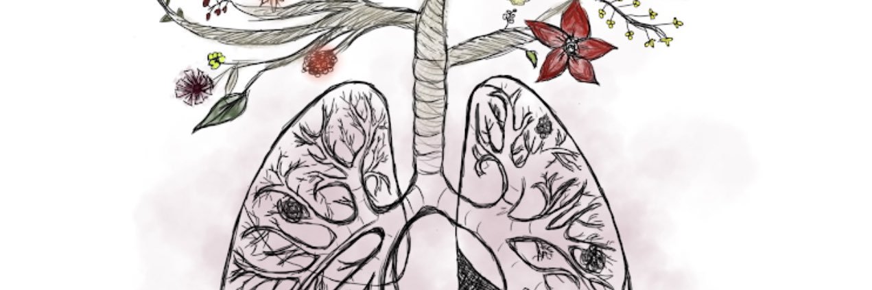 iBrahimxiF's profile banner image