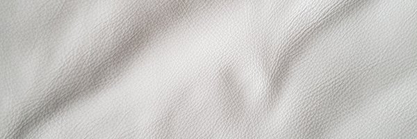 crypto_pies Profile Banner