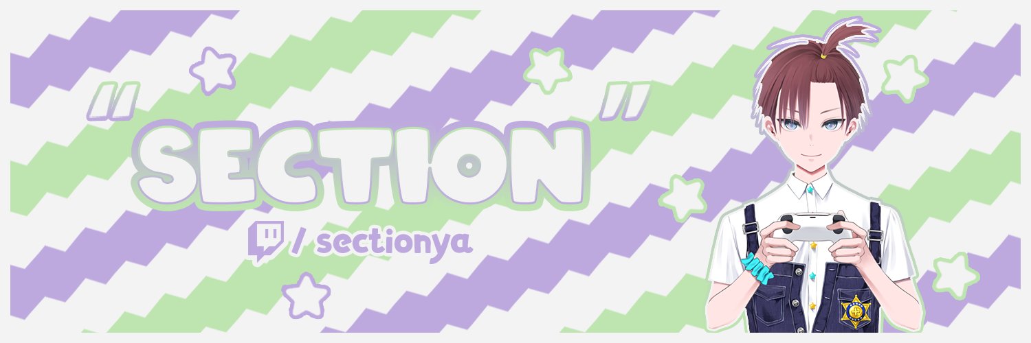 SecTioN | Vtuber 🇵🇸's banner