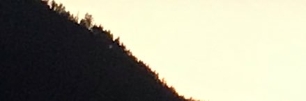 Wasabi banner