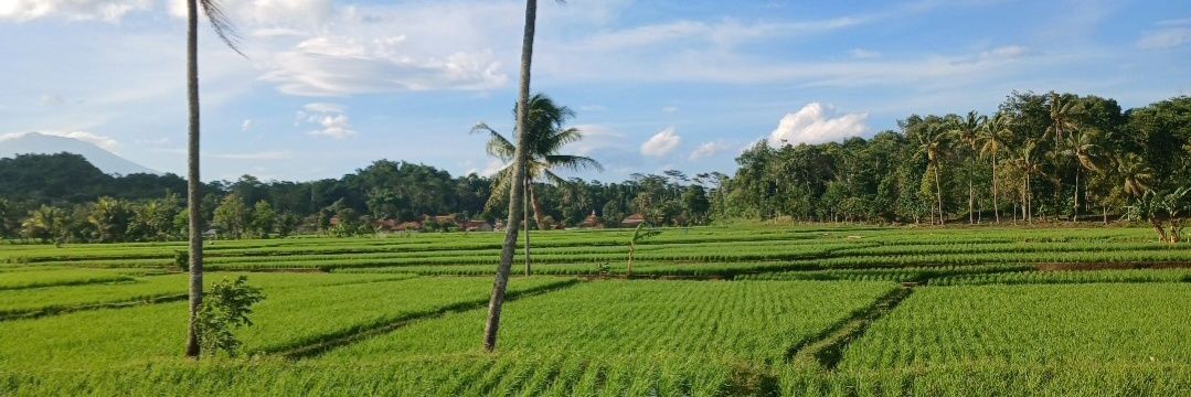 Emak Give Away 🇮🇩🌾 banner