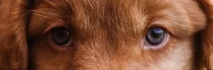 iFollow_back10's profile banner image