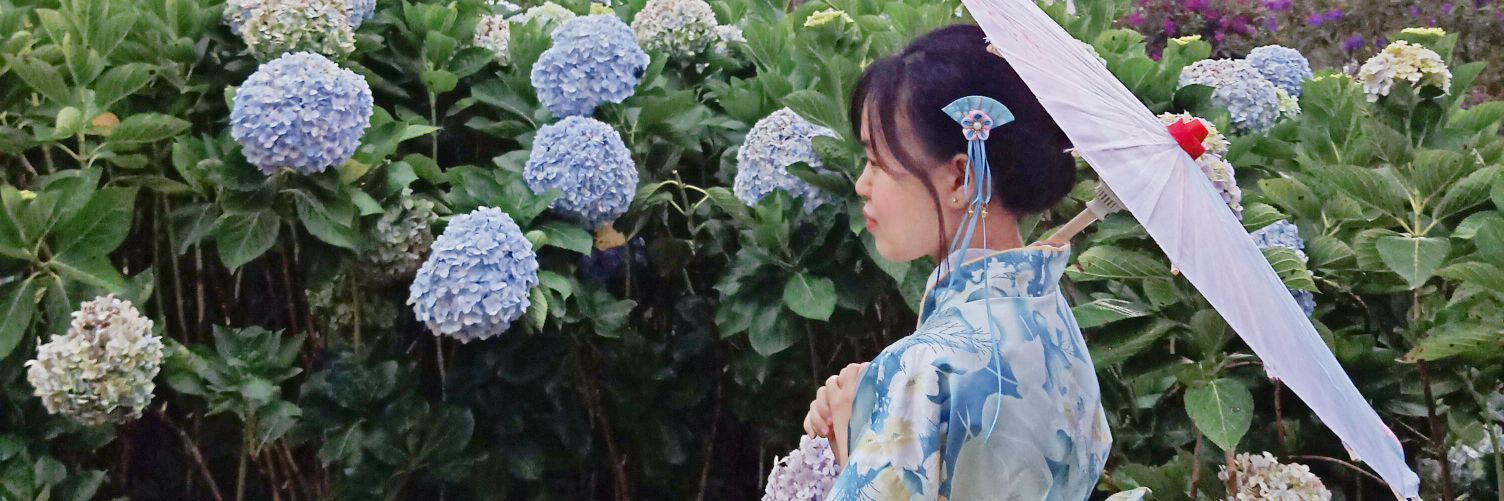grape_155's profile banner image