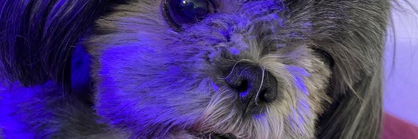 _WILLIAMCHER Profile Banner