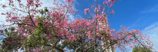 Billy_Neary Profile Banner