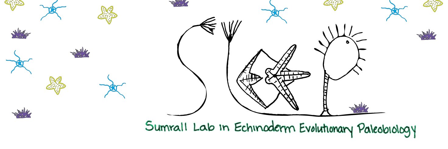 Sumrall LabGroup banner