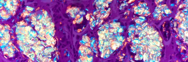 daniel_berney Profile Banner