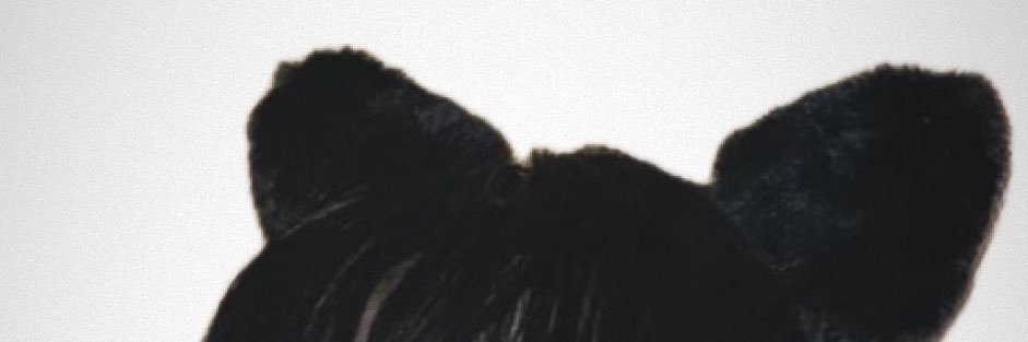M banner