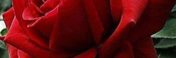 i1__g Profile Banner