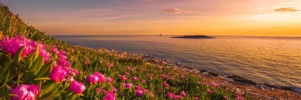 OFF banner