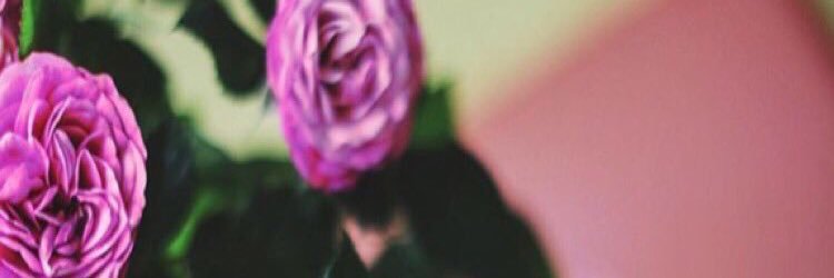 wardahm7's profile banner image