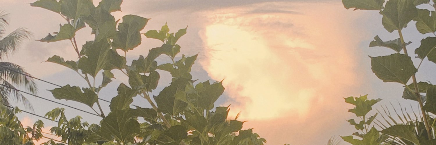 pifuuuu's profile banner image