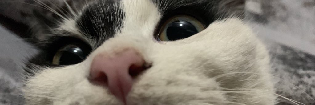 elmoox's profile banner image