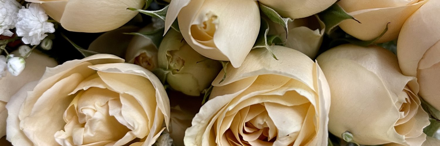 blanklyred's profile banner image