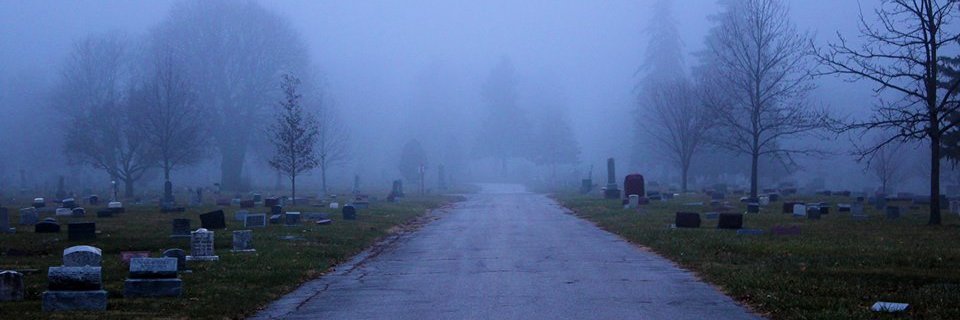 SpectralTravels's profile banner image