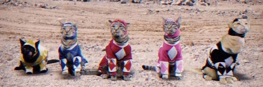 asiático ennoviado™ banner