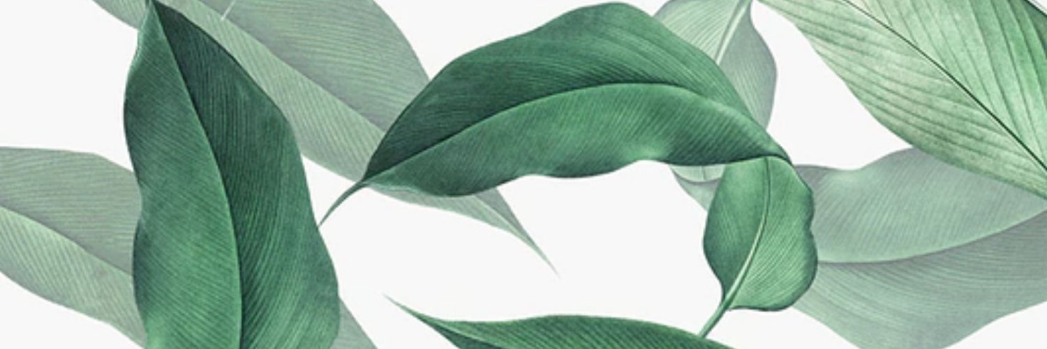devinamstr's profile banner image