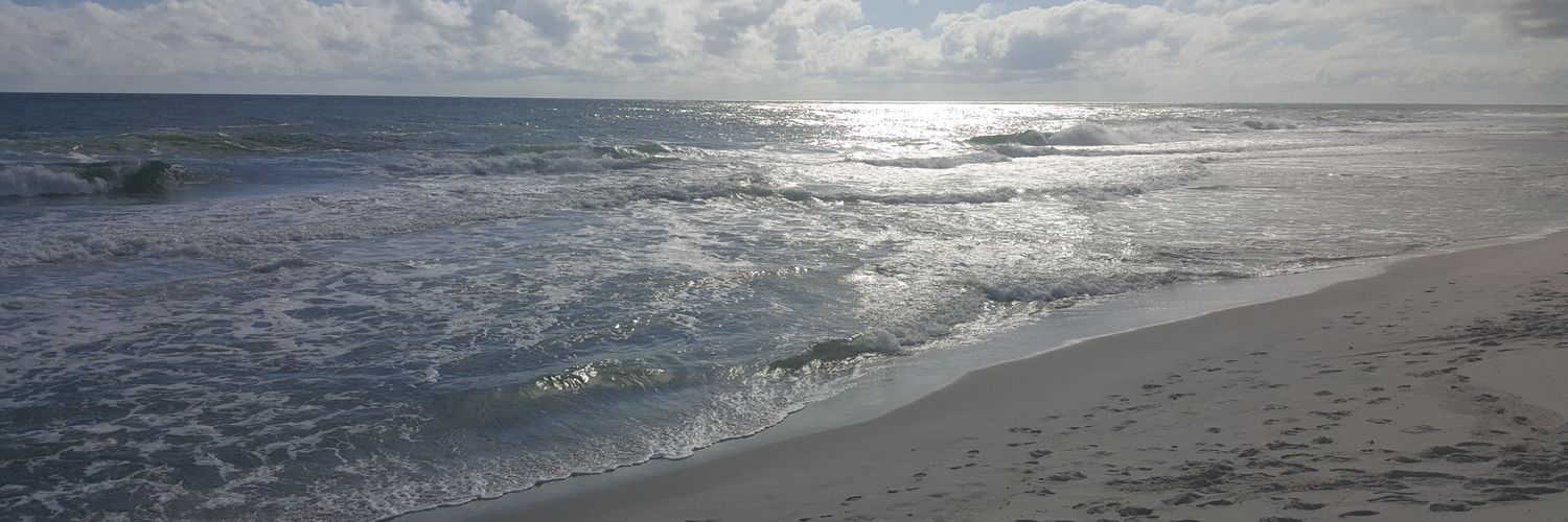 Laura Tate, Ed.D. banner