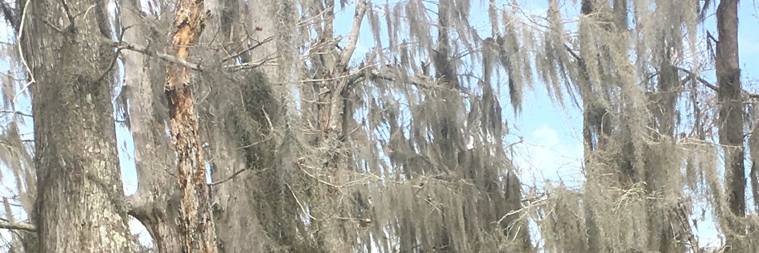 CourtneyBouLA's profile banner image