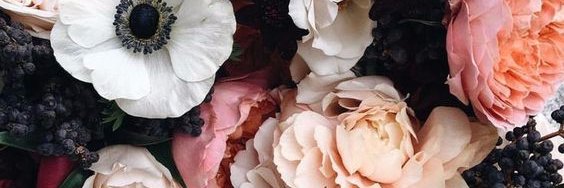 gracekimmm's profile banner image