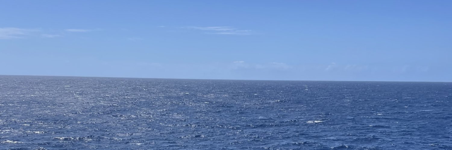 295Destroyer's profile banner image