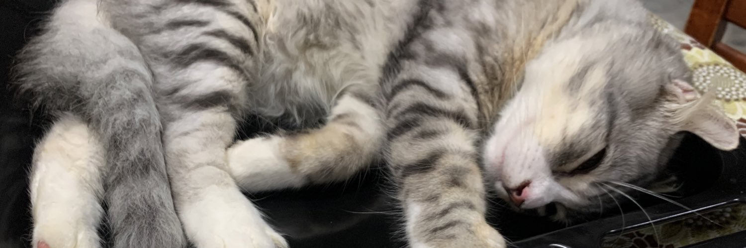 puterifrhnm's profile banner image