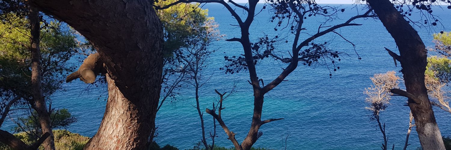 Maha Hamrouche banner