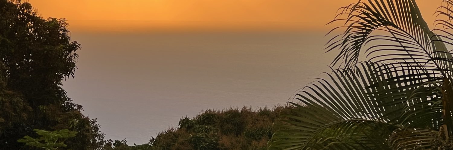 jojoneitzel's profile banner image