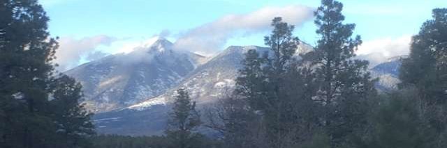 Dr. Kendall Sullivan banner