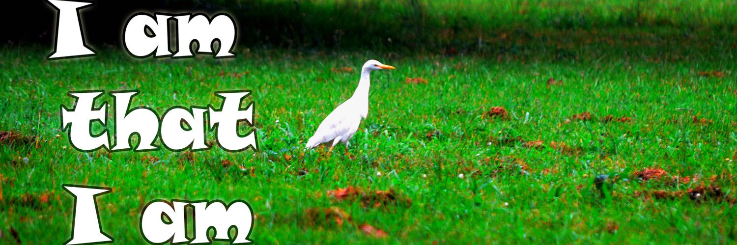 Yahwehboy01's profile banner image