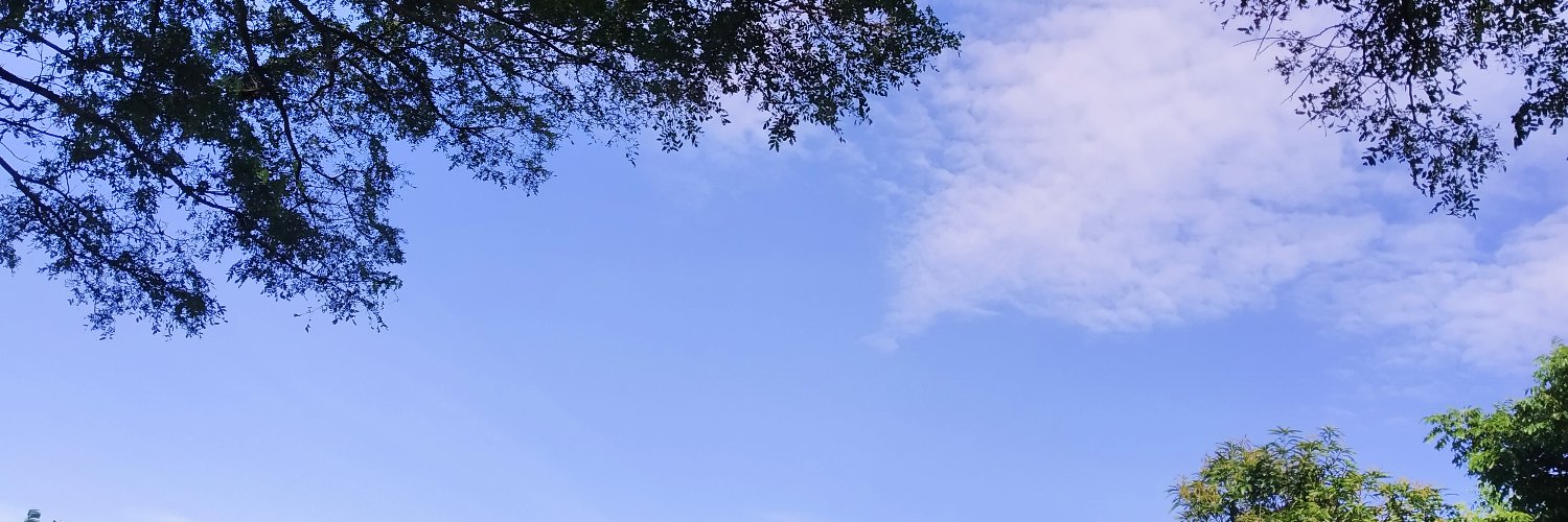 arfiresa's profile banner image