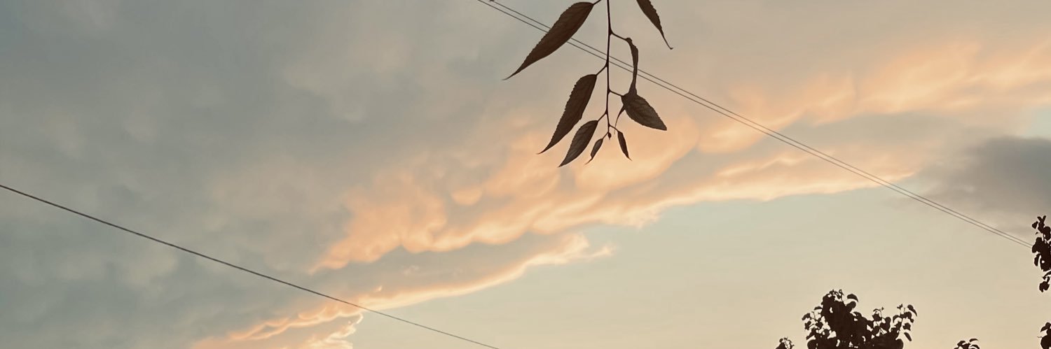 _Alessia_C_'s profile banner image