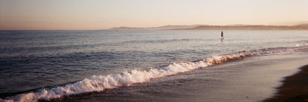josellea's profile banner image