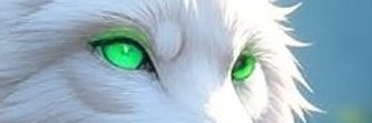_playmaker_4's profile banner image