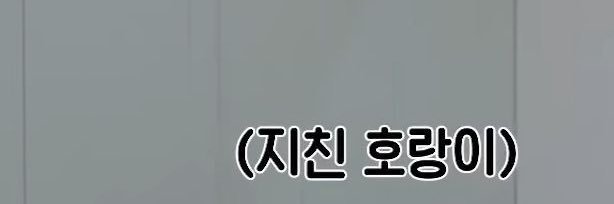 em🦢 banner