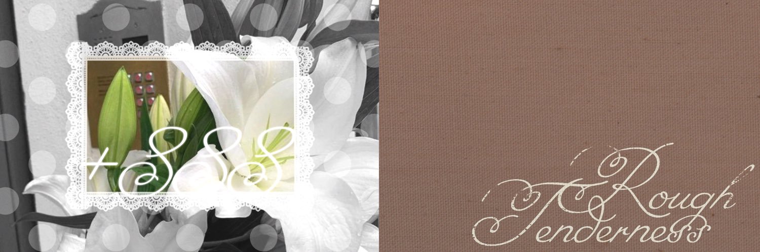 cutui's profile banner image