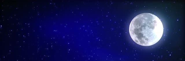 Moonlight_Haven's profile banner image